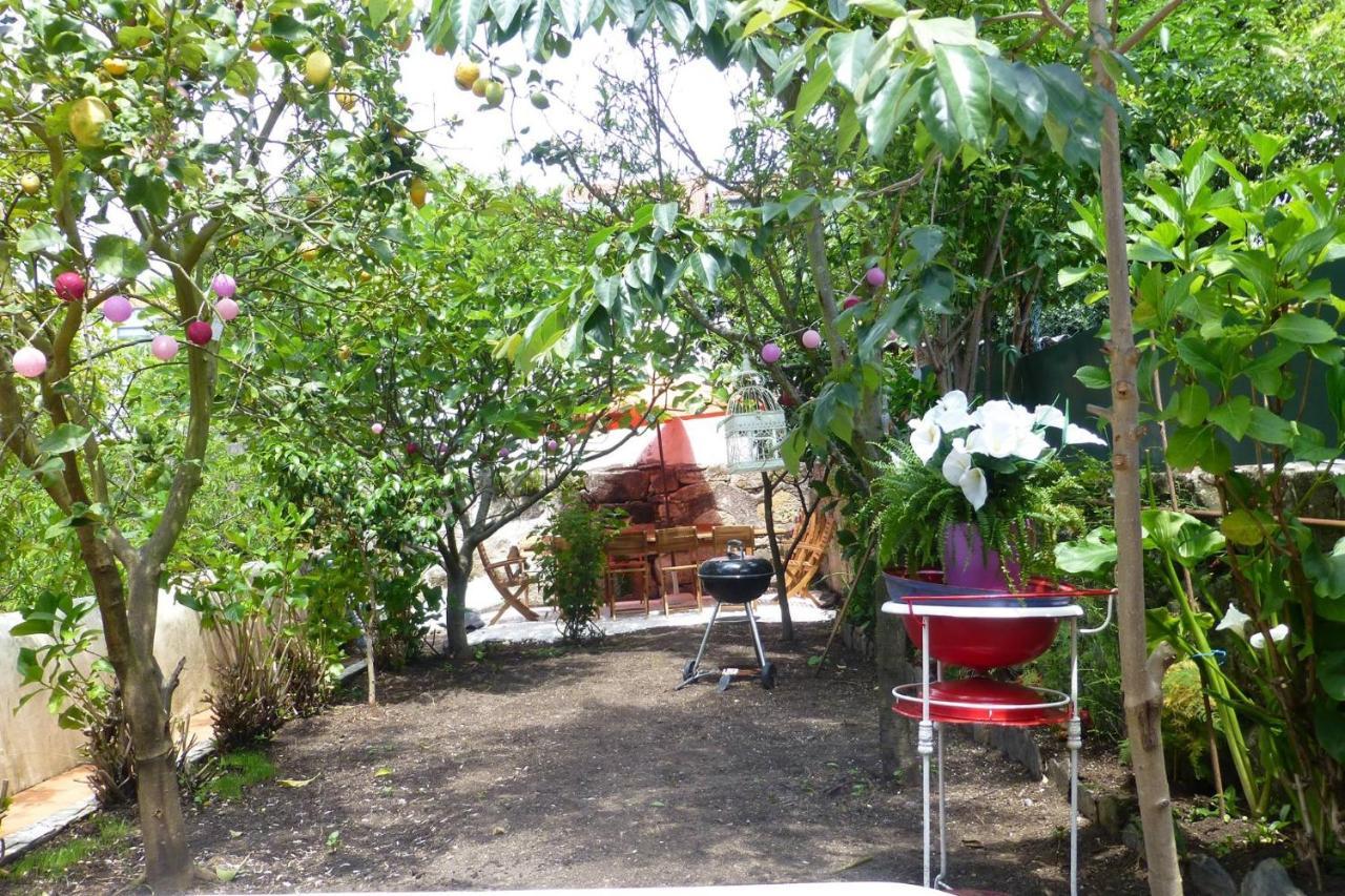 Casa Portugueza Experience Apartment ปอร์โต ภายนอก รูปภาพ